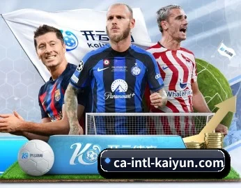平台简介 - 体育资讯内容服务 - KAIYUN SPORTS